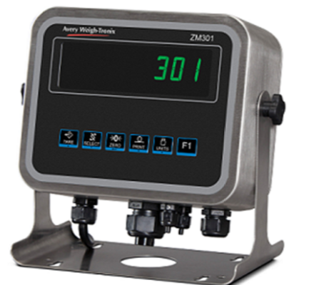 Weigh tronix 301